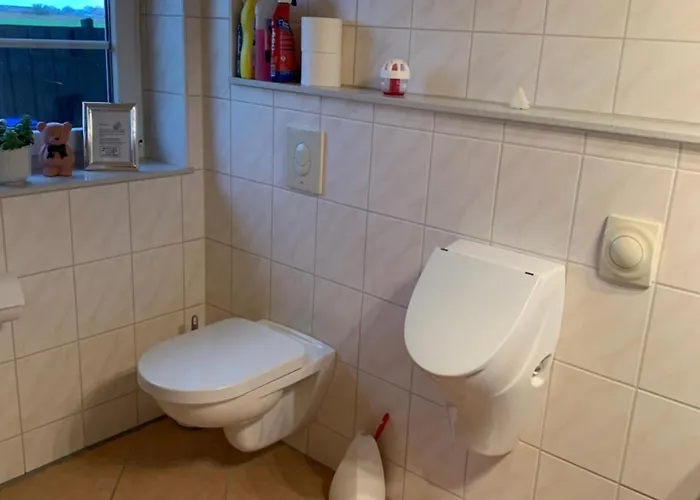 Auf Dem Land 2 Schillig